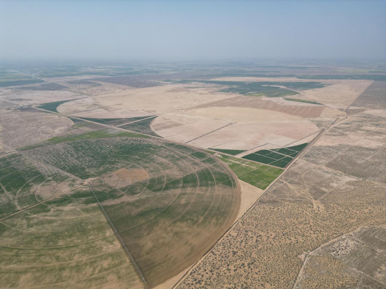 Large-Scale Mechanized Farming in Cholistan Aerial view of large-scale center-pivot irrigation circles in Cholistan