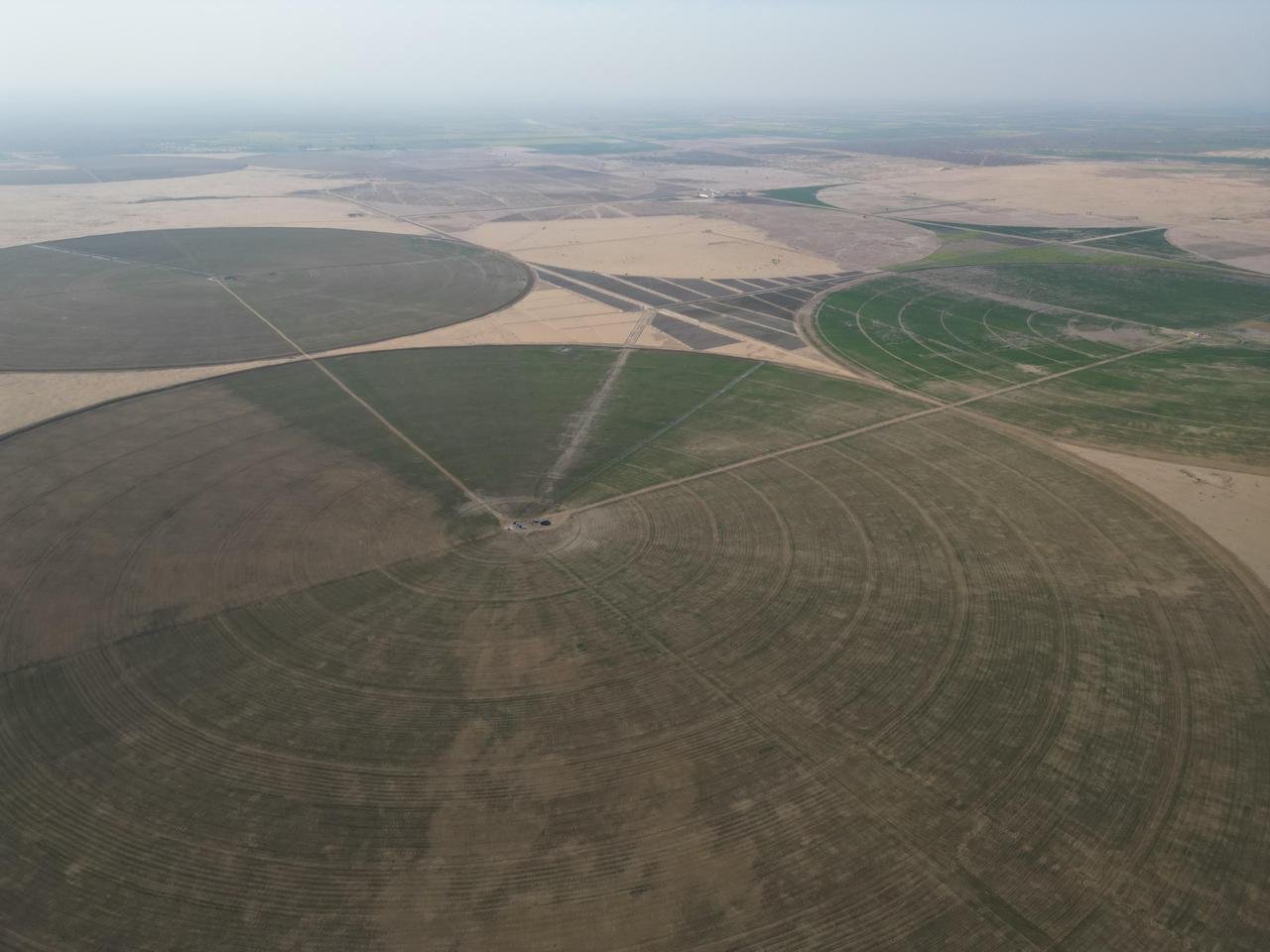 Cholistan project by GroRiz
